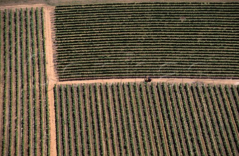 Aerial view of Steenberg vineyards   Constantia South Africa