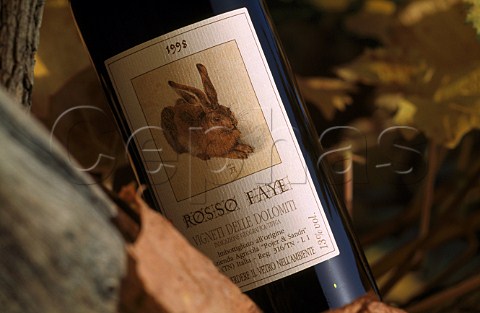 Bottle of Rosso Faye wine from Pojer  Sandri Faedo Trentino Italy