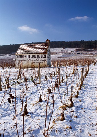 Hut of Domaine Pierre Damoy in   Chambertin Clos de Bze vineyard   GevreyChambertin Cte dOr France   Cte de Nuits Grand Cru