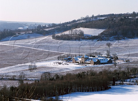 Denbies vineyards in the snow viewed from Box Hill   Dorking Surrey England