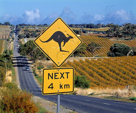 Kangaroo warning sign by busy road   McLaren Vale South Australia