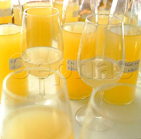 Sample bottles of Chardonnay blend components on the   tasting bench of Cloudy Bay winery Marlborough   New Zealand
