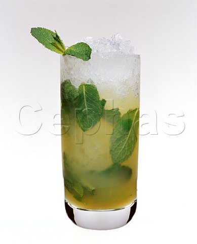 Cocktail Mojito  Glass Highball