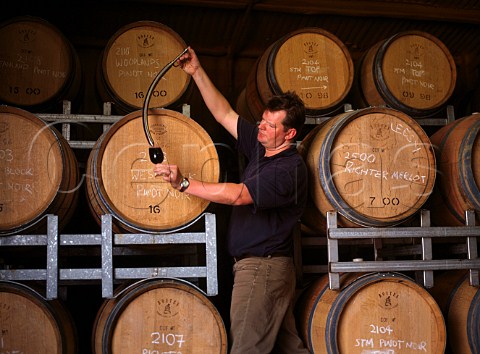 Michael Glover winemaker of Moorilla Estate takes   sample of wine from barrel using a pipette  Hobart Tasmania Australia   Derwent Valley
