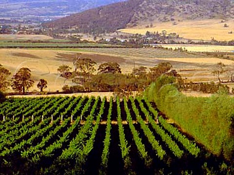 Tolpuddle Vineyard suppliers Pinot Noir and   Chardonnay to Domaine Chandon    Near Richmond Tasmania Australia   Coal River