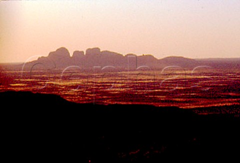 Evening light on the Olgas seen from   Ayers Rock   Uluru  KataTjuta National Park   Northern Territory Australia