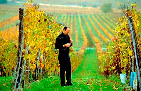 Paul Kerschbaum in the Gefanger vineyard   of Weingut Paul Kerschbaum Horitschon   Burgenland Austria Sdburgenland