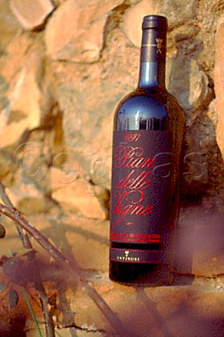 Bottle of Pian Delle Vigne Brunello di   Montalcino Antinori Tuscany Italy    Montalcino