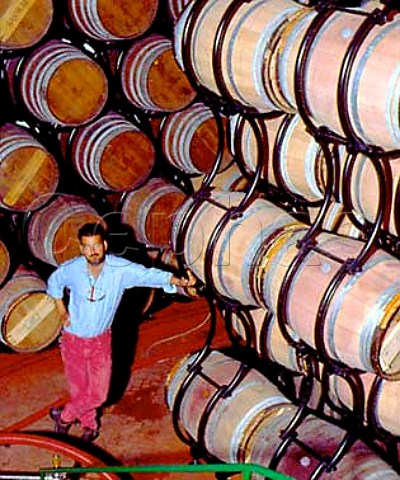 Sebastiano Rosa with the barrel stacking system in the Guidalberto barrel room of Tenuta San Guido Bolgheri Tuscany Italy      Bolgheri