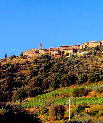 Vineyards below the hilltop town of   Castelnuovo dell Abate Tuscany Italy       Brunello di Montalcino