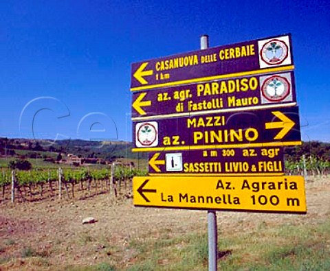 Winery signs on the hill of Montosoli   Montalcino Tuscany Italy   Brunello di Montalcino