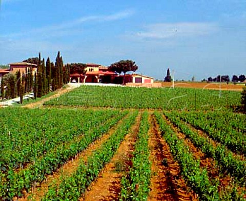 Poliziano winery viewed over vineyard   Gracciano Tuscany Italy     Vino Nobile di Montepulciano