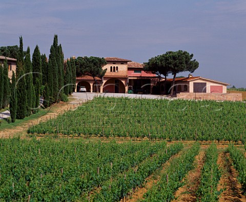 Poliziano winery viewed over vineyard   Gracciano Tuscany Italy     Vino Nobile di Montepulciano