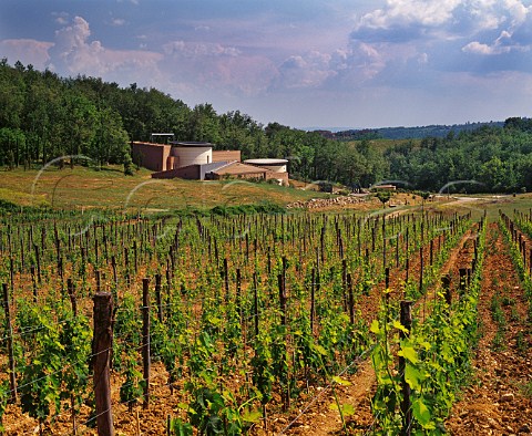 Winery and vineyard of Badia a Coltibuono at Monti in Chianti Tuscany Italy     Chianti Classico