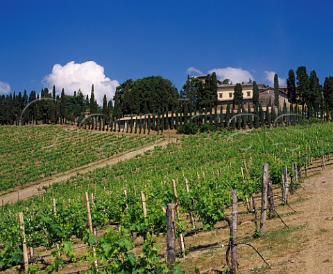Castello dAlbola of Zonin above its vineyard Radda in Chianti Tuscany Italy   Chianti Classico