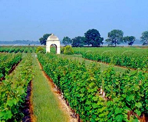 Vineyard of Chteau de Barbe with the Gironde   estuary beyond Villeneuve Gironde France   Ctes de Bourg  Bordeaux