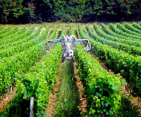 Spraying in vineyard of Chteau de Barbe   Villeneuve Gironde France     Ctes de Bourg  Bordeaux
