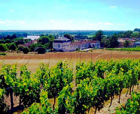 Chteau Richelieu with the town of Fronsac and river   Dordogne beyond Gironde France   Fronsac  Bordeaux