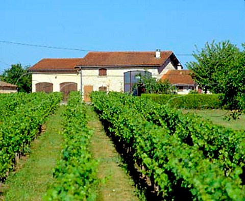Chteau La Clarire Laithwaite SteColombe   Gironde France Ctes de Castillon  Bordeaux