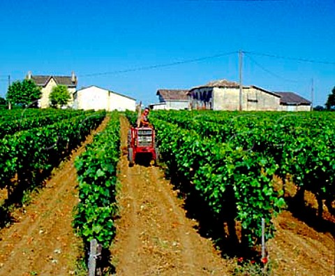 Harrowing between the vines at Chteau   BellevueMontpezat StGensdeCastillon Gironde   France Ctes de Castillon  Bordeaux
