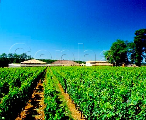 Vineyards of Chteau dAiguilhe   StPhilippedAiguille Gironde France   Ctes de Castillon  Bordeaux