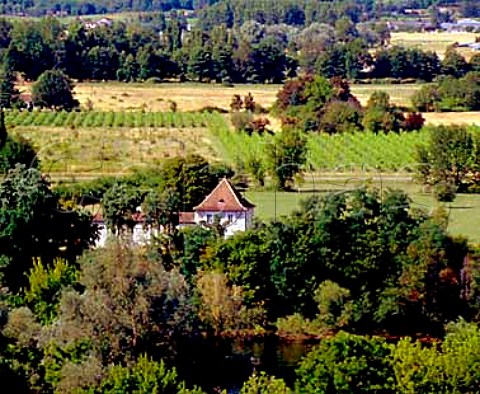 Church and vineyards of Les Laurents with the   Dordogne river in the foreground Dordogne France    Montravel  Bergerac