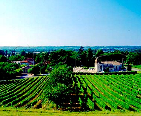 Vineyards and church at PessacsurDordogne   Gironde France SteFoyBordeaux