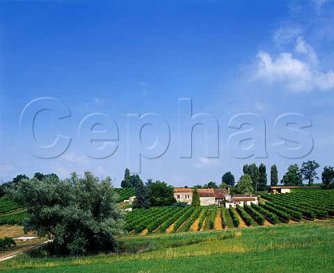 Vineyard and farm near Pomport Dordogne France    Monbazillac  Bergerac