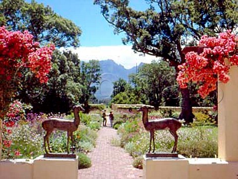 The manor house garden at Vergelegen   Stellenbosch South Africa