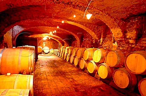 Barrel cellar of E Pira e Figli   Barolo Piemonte Italy