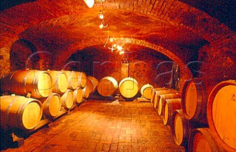Barrel cellar of E Pira e Figli   Barolo Piemonte Italy