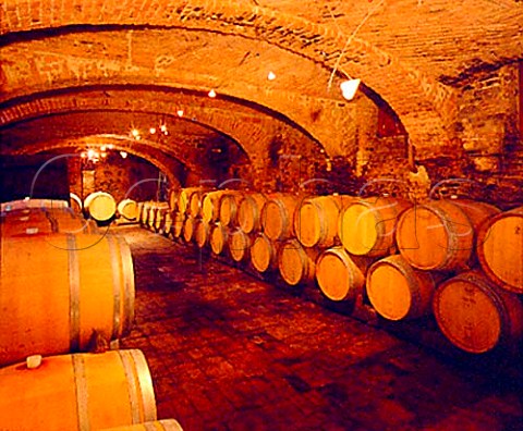 Old barrel cellar of E Pira e Figli Barolo   Piemonte Italy