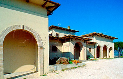 Winery of Fratelli Adanti Bevagna   Umbria Italy   Montefalco