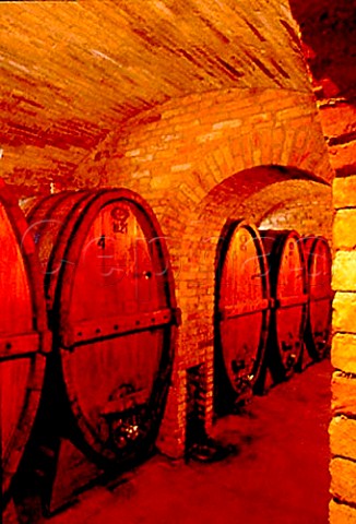 Barrels in the cellars of   Fratelli Adanti Bevagna Umbria Italy   Montefalco
