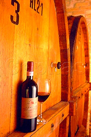 Bottle of 1998 Sagrantino di Montefalco   of Fratelli Adanti Bevagna Umbria   Italy     Montefalco