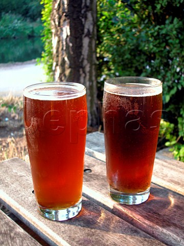 Two pints of beer in a pub beer garden  Surrey   England
