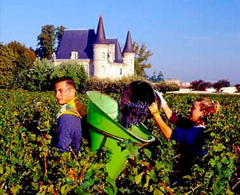 Filling hod with harvested Merlot grapes at   Chteau PichonLonguevilleBaron   Pauillac Gironde France  Mdoc  Bordeaux