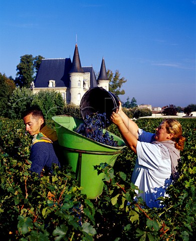 Filling hod with harvested Merlot grapes at   Chteau PichonLonguevilleBaron   Pauillac Gironde France  Mdoc  Bordeaux