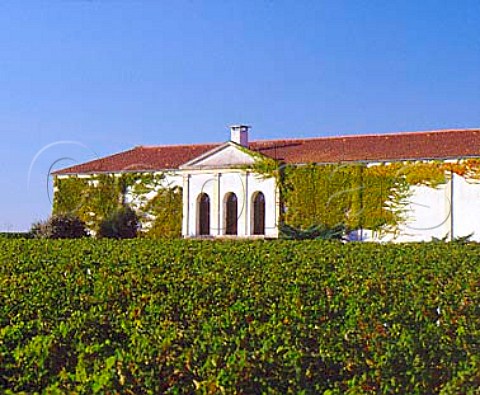 Chai of Chteau SaintPaul viewed over its vineyard   StSeurindeCadourne Gironde France     Mdoc Cru Bourgeois