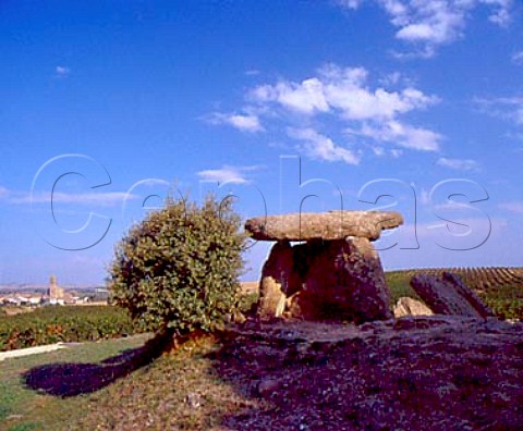 Prehistoric dolmen amidst the vineyards at Elvillar   Alava Spain     Rioja Alavesa