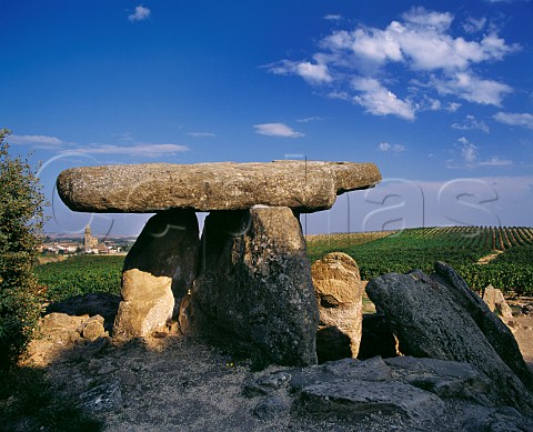 La Chabola de la Hechicera a prehistoric dolmen amidst the vineyards at Elvillar   Alava Spain Rioja Alavesa