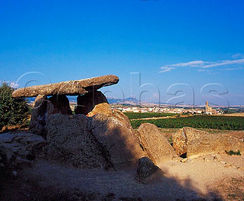 Prehistoric dolmen amidst the vineyards at Elvillar   Alava Spain     Rioja Alavesa