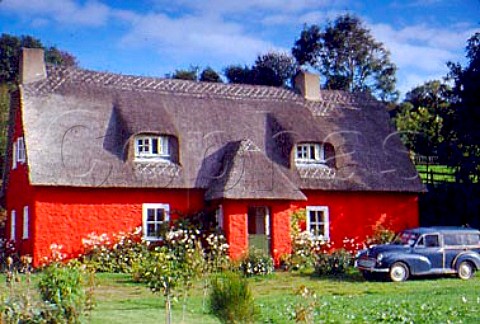 Colourful thatched cottage with old car   Eire