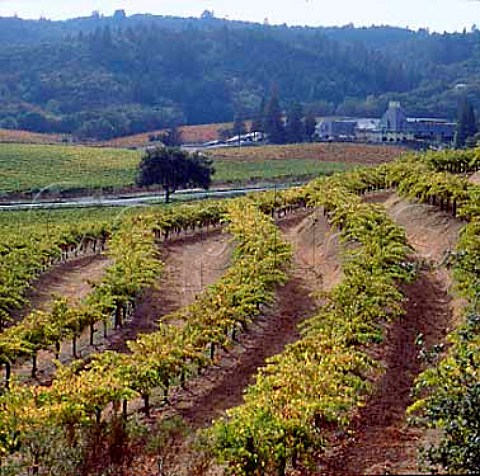 Chateau Souverain viewed from its vineyard   Geyserville Sonoma Co California  Alexander Valley