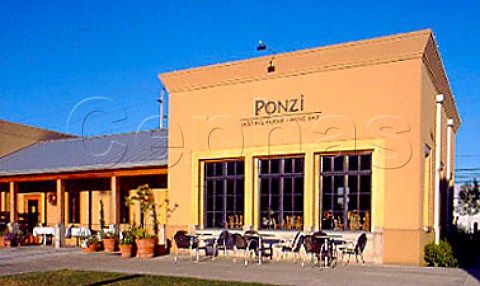 Ponzi tasting room and wine bar   Dundee Oregon   Willamette Valley