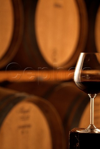 Glass of Barbaresco in the barrel cellar   of La Spinetta Castagnole Lanze   Piemonte Italy
