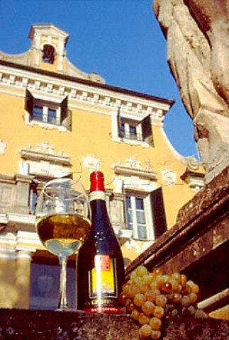 Bottle and glass of Montessora Gavi with   bunch of Cortese grapes    La Giustiniana Gavi Piemonte Italy