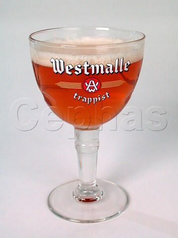 Glass of Westmalle trappist ale  Antwerp Belgium