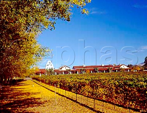 Bridlewood Winery and vineyard Santa Ynez   Santa Barbara Co California    Santa Ynez Valley AVA