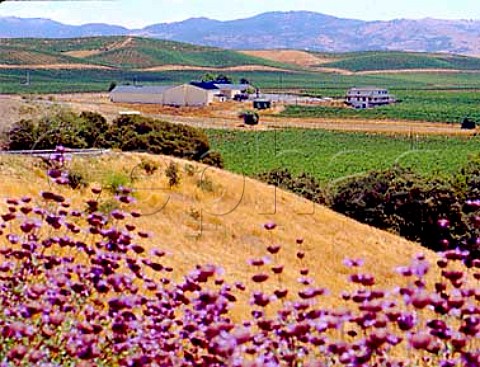 Carneros Creek winery and vineyards Napa   California    Carneros AVA